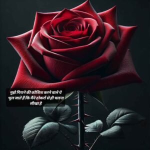 attitude quotes for girls in hindi